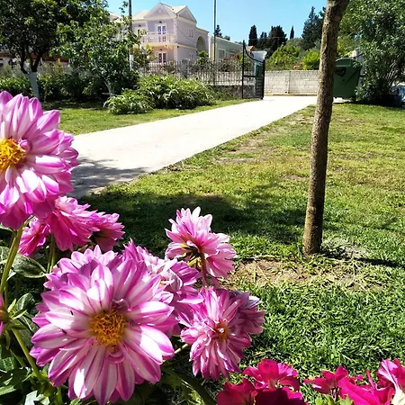 Apartament Ever Kávos