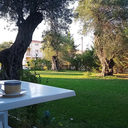 Ever Apartament