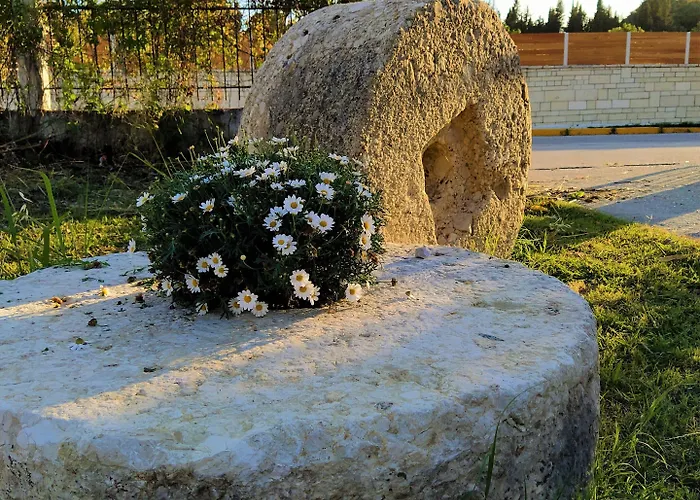 Ever Kávos